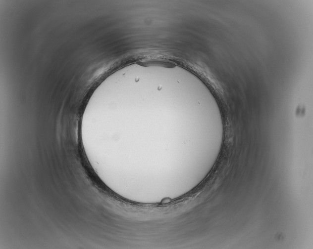 X0000096720014200802261705