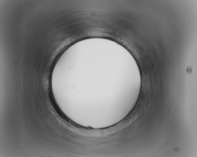 X0000096720015200802261705