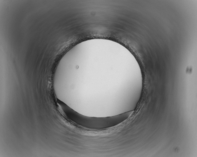 X0000096720017200802261705