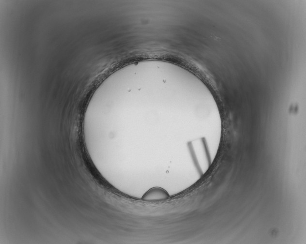 X0000096720018200802261705