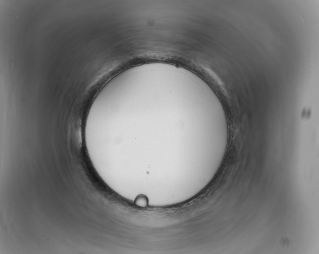 X0000096720020200802261705