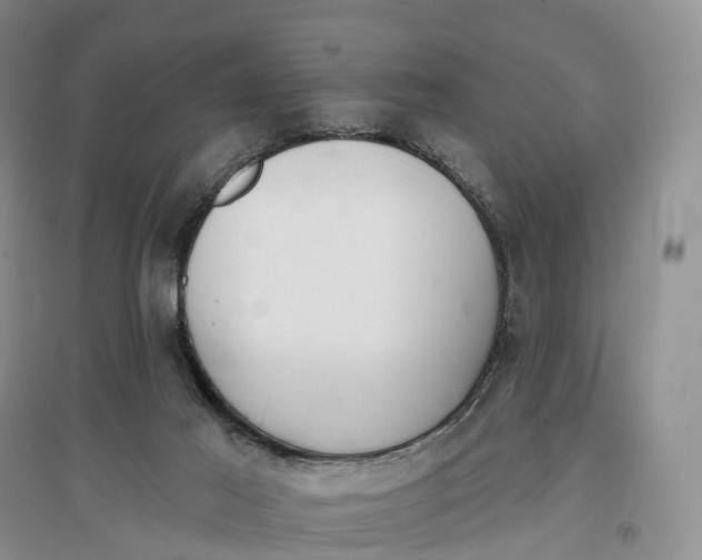 X0000096720021200802261705