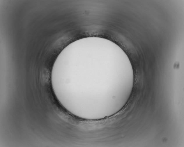 X0000096720025200802261705