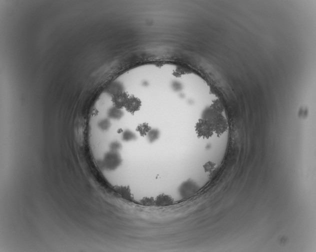 X0000096720026200802261705