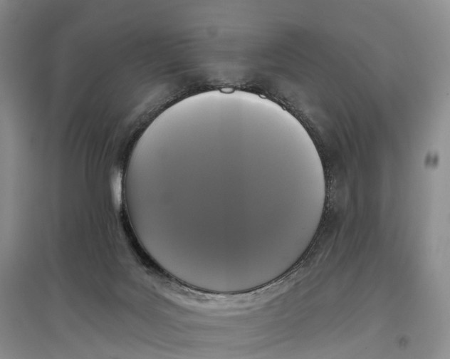 X0000096720027200802261705