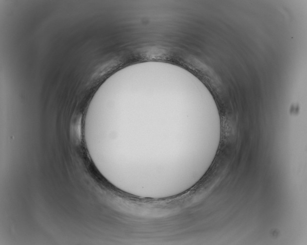 X0000096720028200802261705