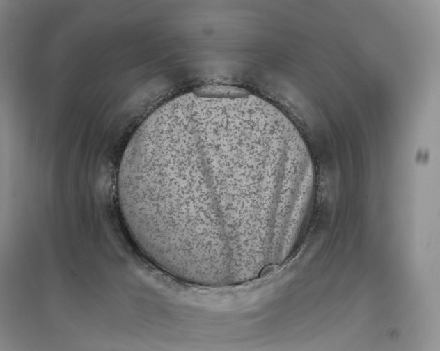 X0000096720029200802261705