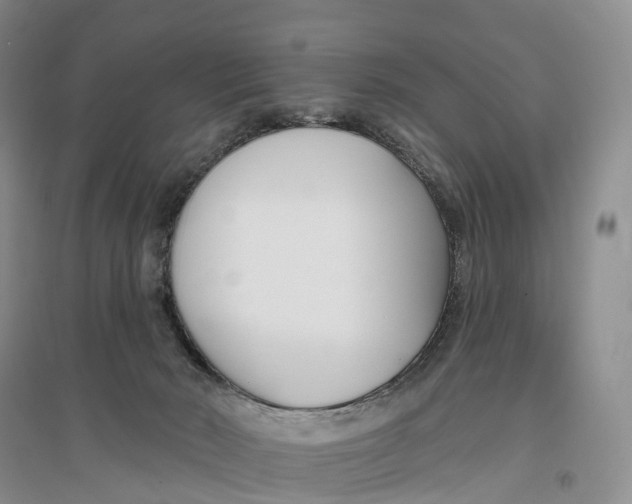 X0000096720030200802261705