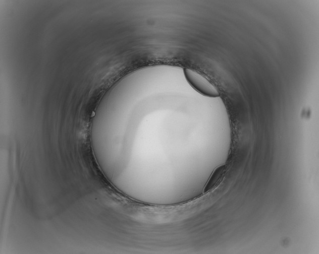 X0000096720033200802261705