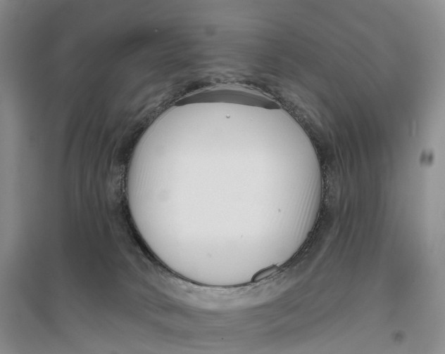 X0000096720034200802261705