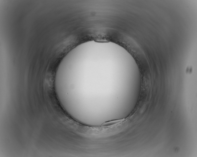 X0000096720037200802261705