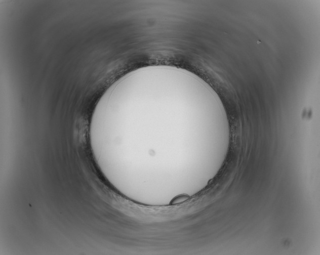 X0000096720038200802261705