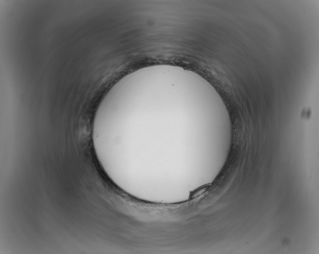 X0000096720040200802261705