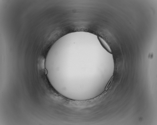 X0000096720041200802261705