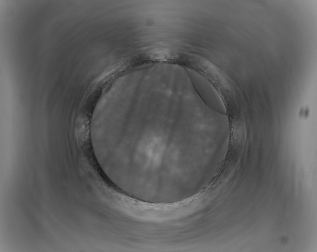 X0000096720043200802261705