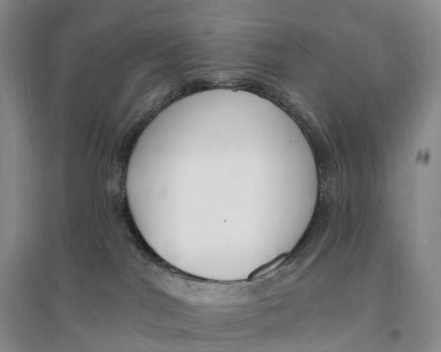 X0000096720044200802261705