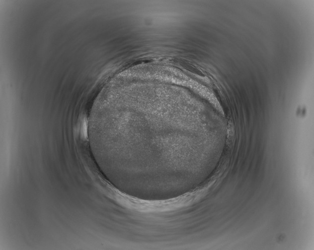 X0000096720046200802261705