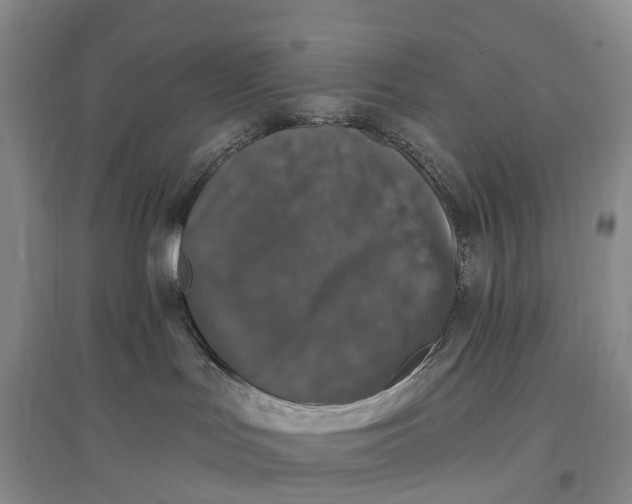 X0000096720047200802261705