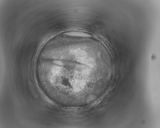 X0000096720049200802261704