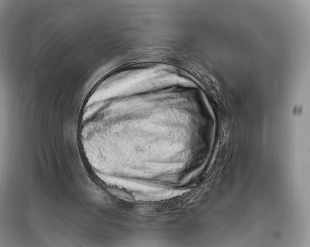 X0000096720051200802261704