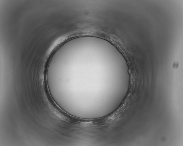 X0000096720054200802261704