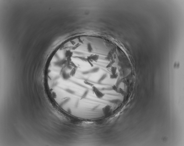 X0000096720055200802261704