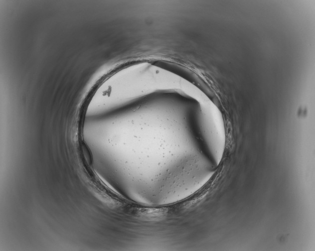 X0000096720056200802261704