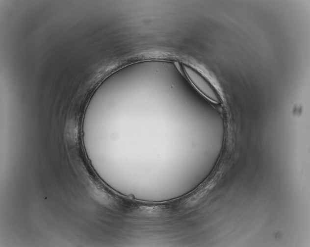 X0000096720057200802261704