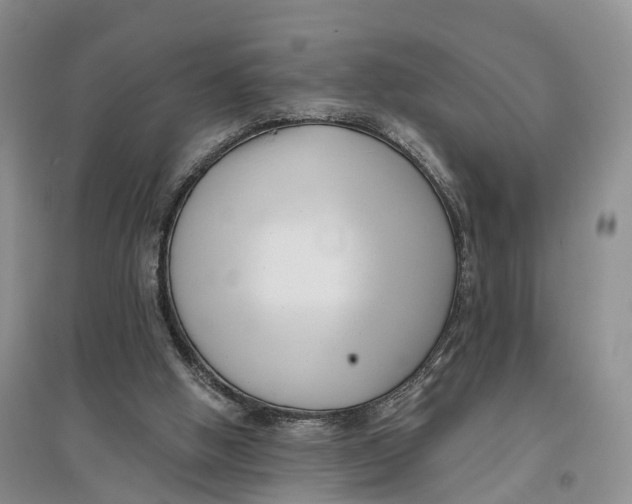 X0000096720058200802261704