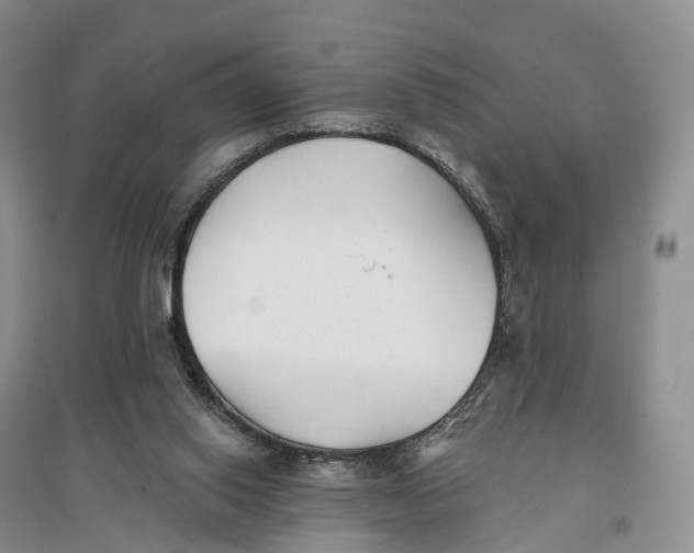 X0000096720062200802261704