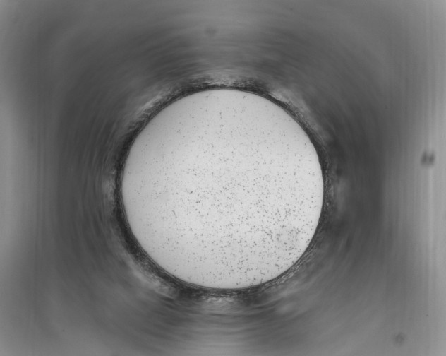 X0000096720066200802261704