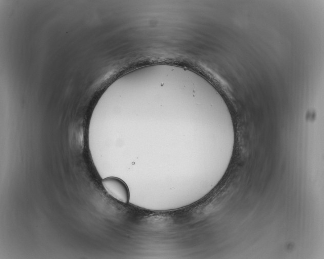 X0000096720067200802261704