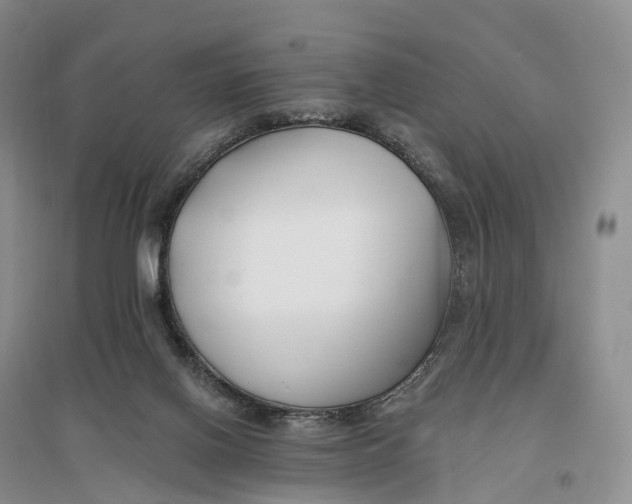 X0000096720070200802261704