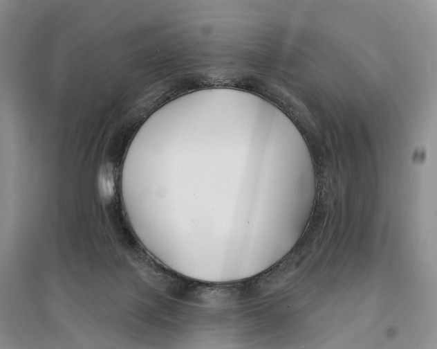 X0000096720075200802261704