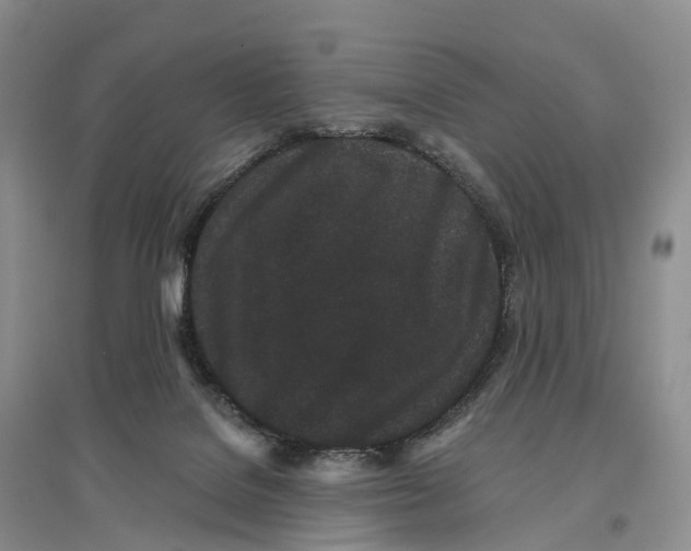 X0000096720076200802261704