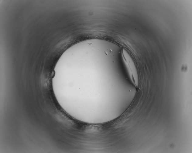 X0000096720077200802261704