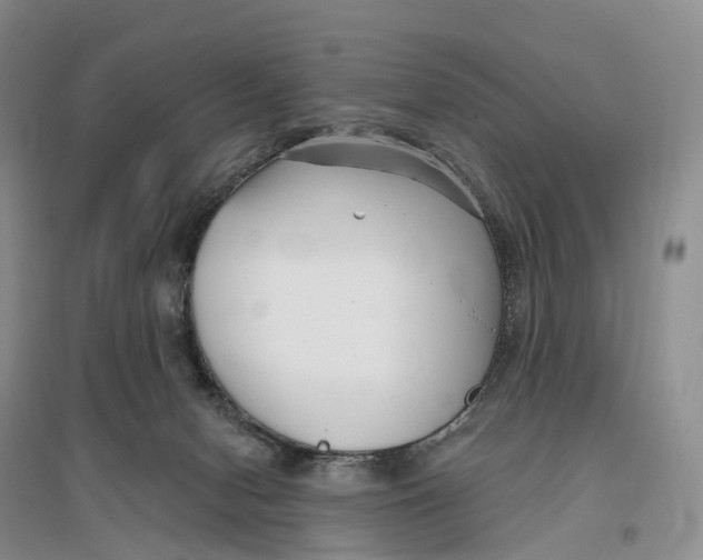 X0000096720078200802261704