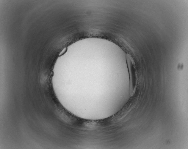 X0000096720079200802261704