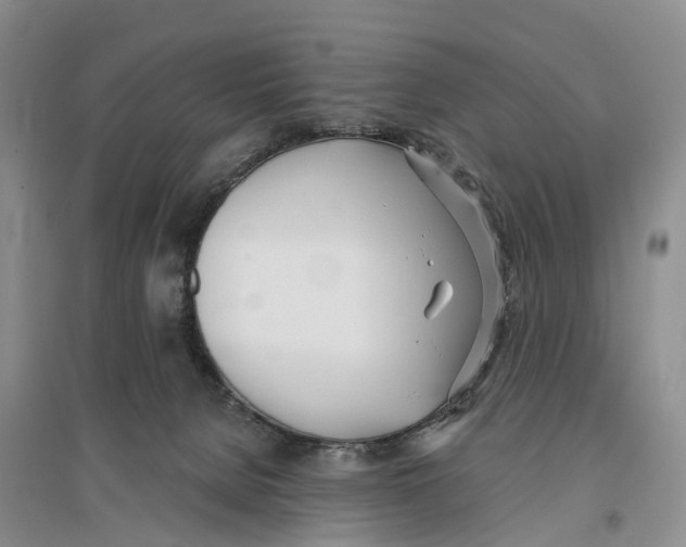 X0000096720080200802261704