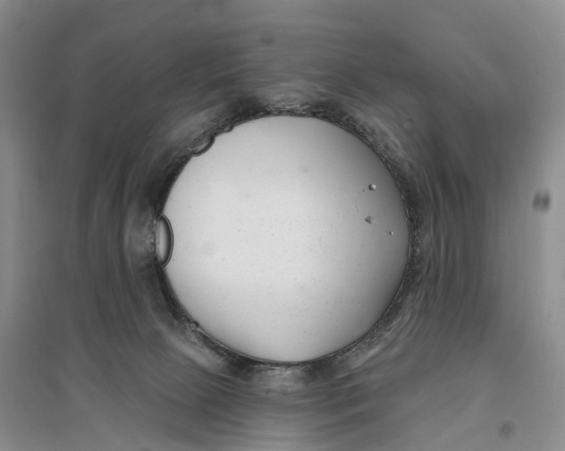 X0000096720081200802261704