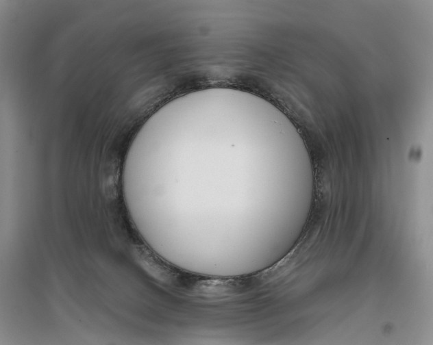 X0000096720082200802261704