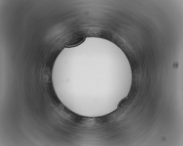 X0000096720083200802261704