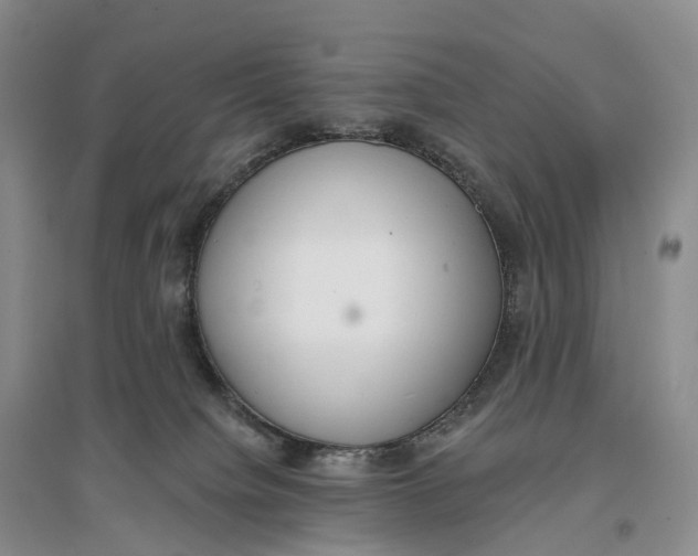 X0000096720084200802261704