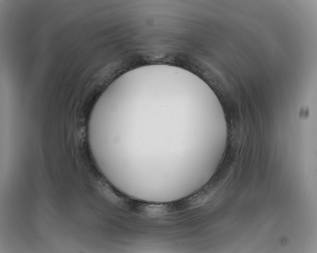 X0000096720085200802261704