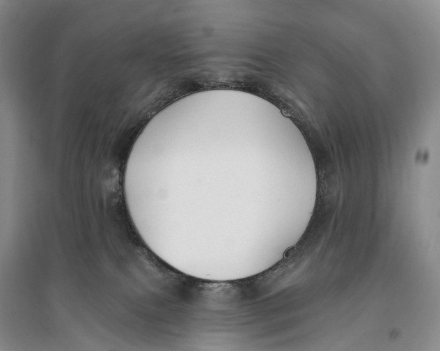 X0000096720087200802261704