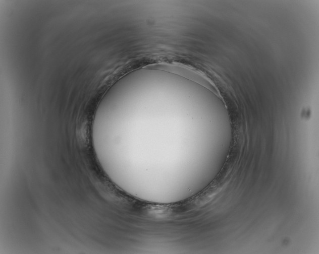 X0000096720088200802261704