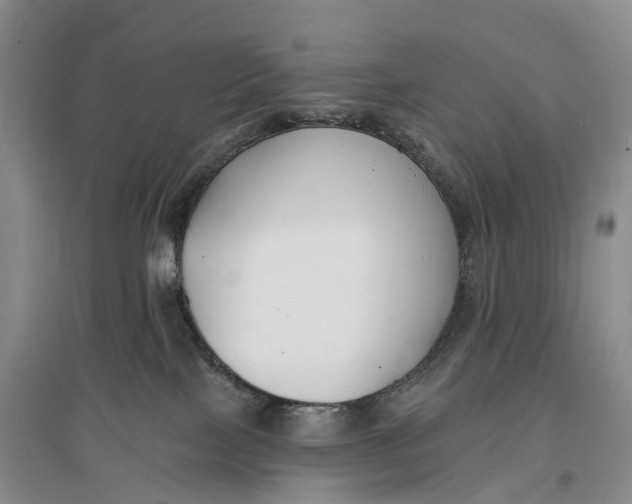 X0000096720089200802261704