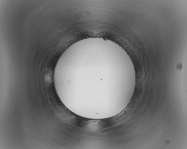 X0000096720090200802261704