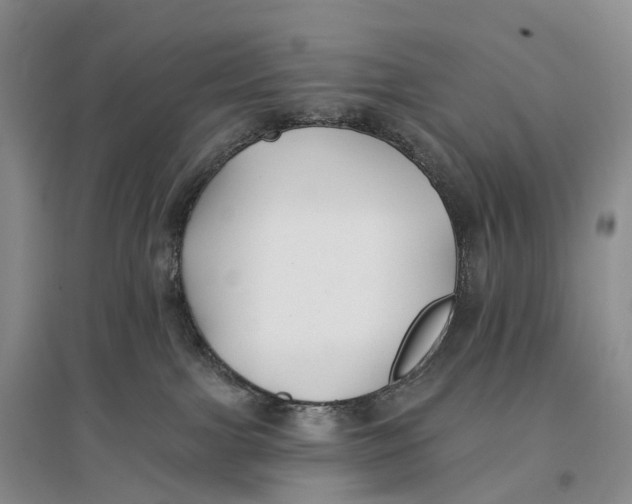 X0000096720091200802261704