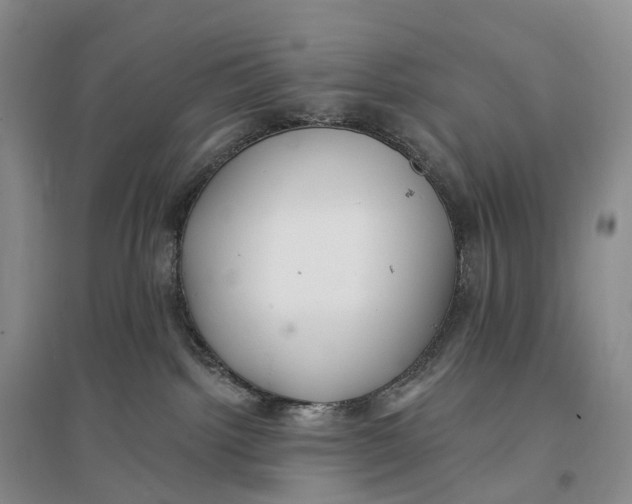 X0000096720092200802261704